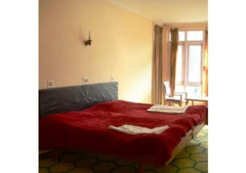 Budget Maharaja Hotel