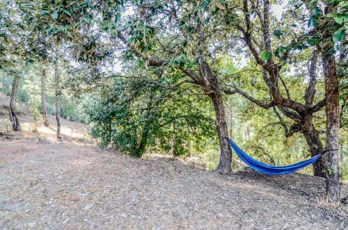 Nayalap - Rural Himalayan Glamping