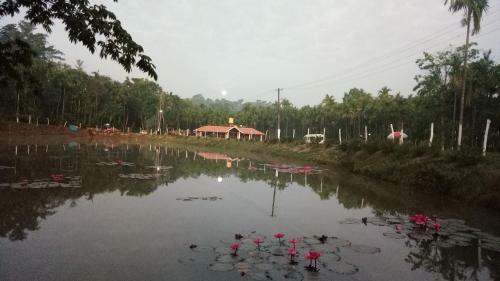 Haveli Holiday Home