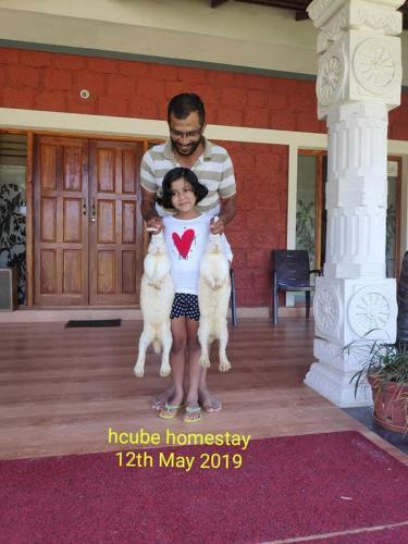 Haveli Holiday Home