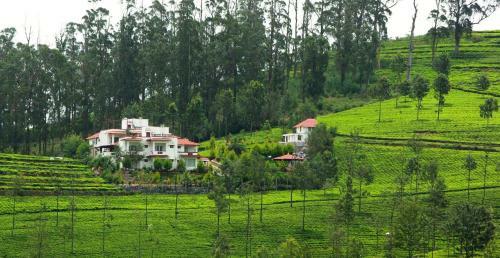 Hotel Green Nest Resort Ooty