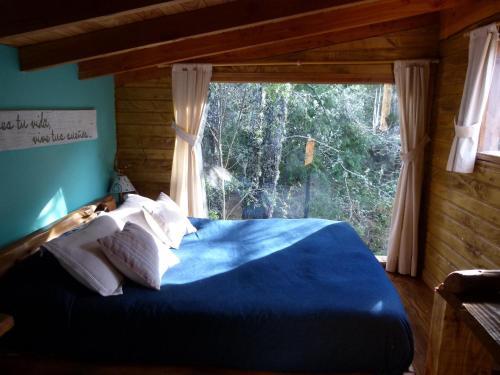 Lodge Caba�as Las Nativas
