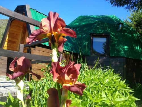 Apartamento Domo Santa Rita