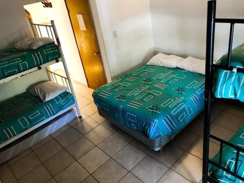 Hostel Punto Patag�nico