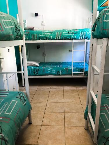 Hostel Punto Patag�nico