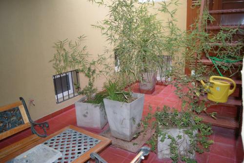 Aparthotel Patagonia Suites & Apart