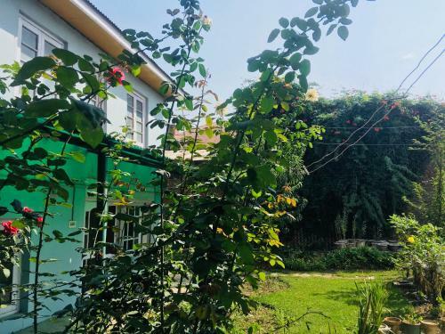 Bed & Breakfast Sukhniketan Cottage Srinagar