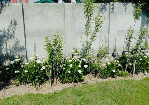 Bed & Breakfast Sukhniketan Cottage Srinagar