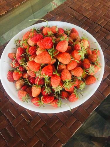 Bed & Breakfast Sukhniketan Cottage Srinagar