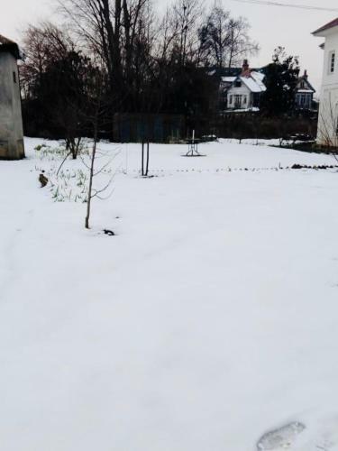 Bed & Breakfast Sukhniketan Cottage Srinagar