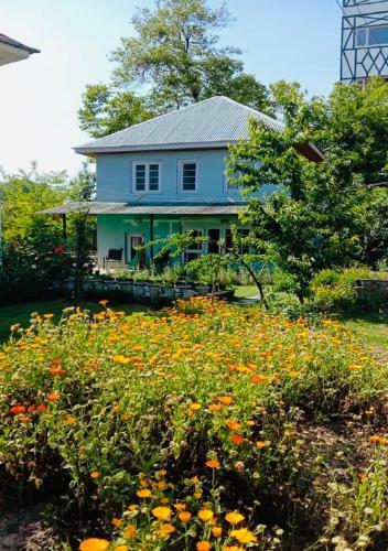 Bed & Breakfast Sukhniketan Cottage Srinagar