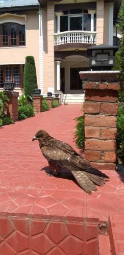 Hotel Asif Heritage And Resorts