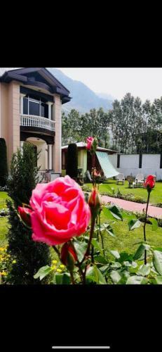 Hotel Asif Heritage And Resorts