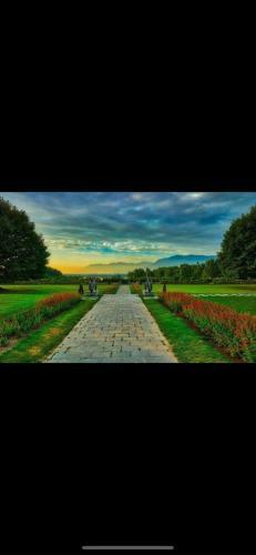 Hotel Asif Heritage And Resorts