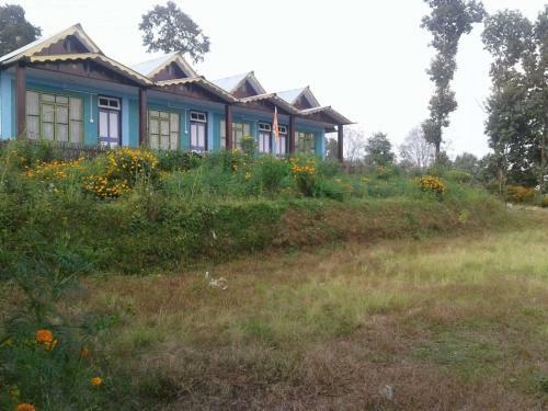 Vamoosetrail Pedong