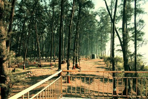 Nagaon Eco Center