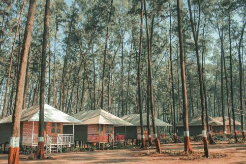 Nagaon Eco Center