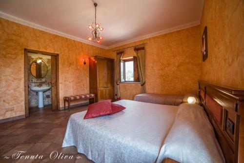 Agroturismo Tenuta Oliva