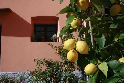 La Casa Dei Tarocchi