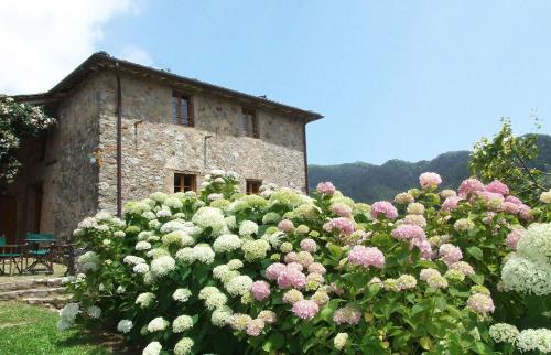 Bozzano Villa Sleeps 10 Wifi