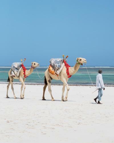 Hotel Diani Sea Lodge - All Inclusive