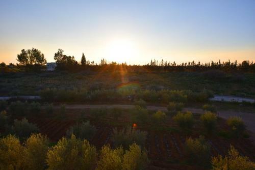 Agroturismo Maison D'h�tes La Ferme Aziza