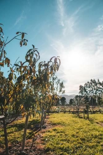 Hostal Woodside Orchard