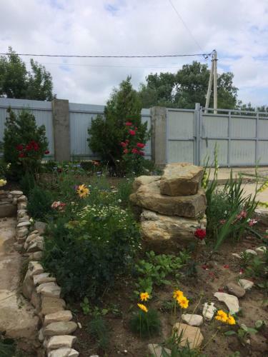 Hostal Guest House Liliya