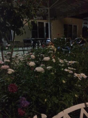 Hostal Guest House Liliya