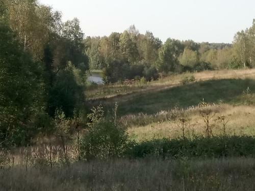 Lodge In Toropec