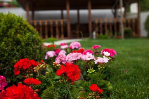 Hostal Agoy Guesthouse
