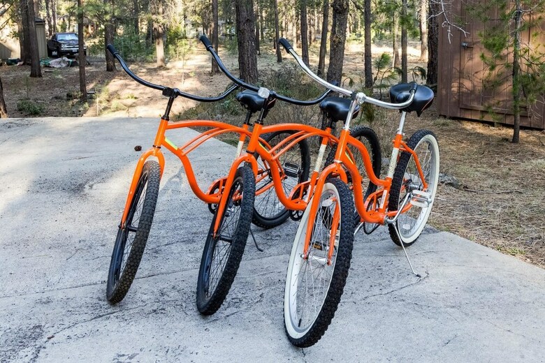 Coyote 20