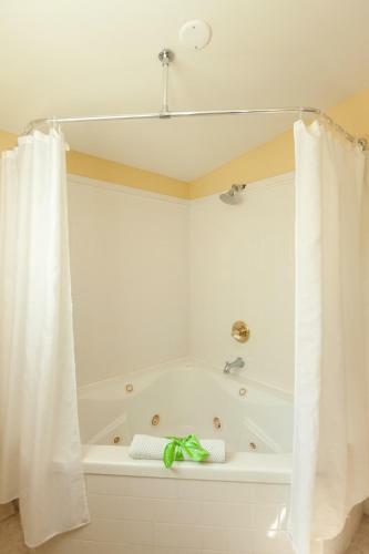 Bed & Breakfast Inn On Charlotte