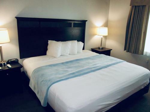 The Avenue Hotel