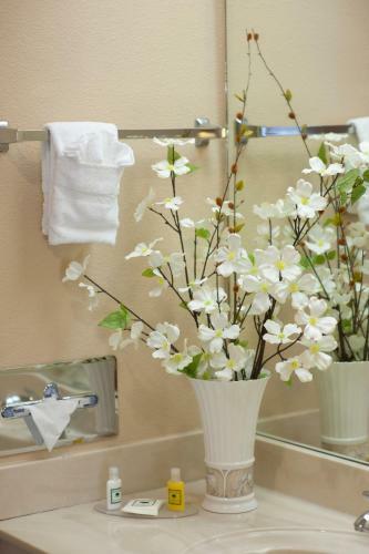 Hotel Calipatria Inn & Suites