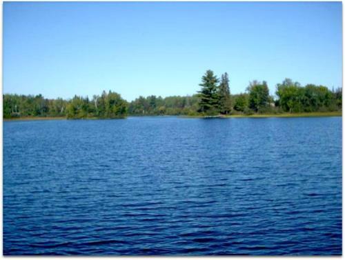 Republic Island Cabin