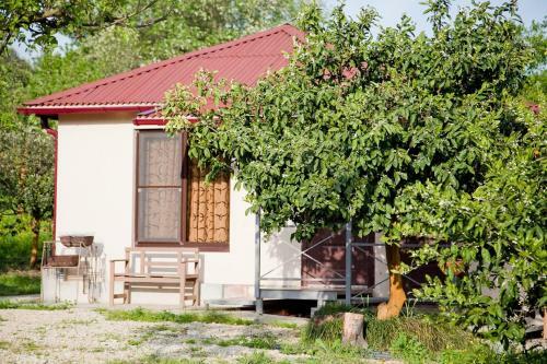 Mandarinovyi Dvorik