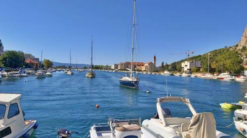 Apartment Mirko