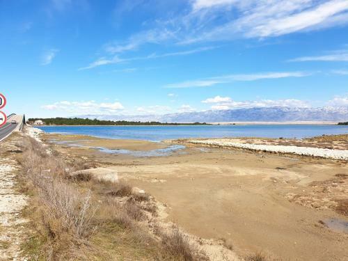 Apartments Branka