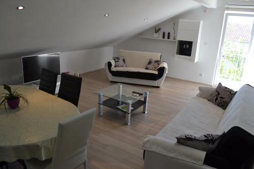 Apartment Branko