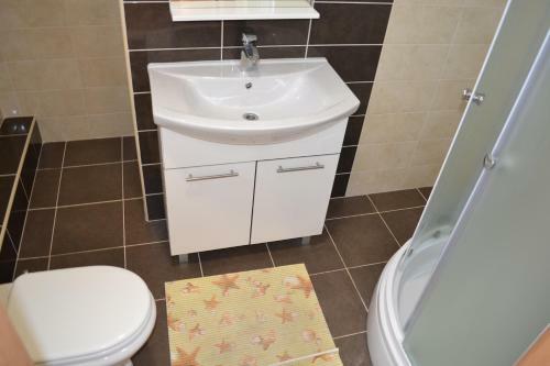 Apartment Branko