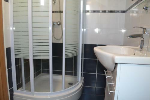 Apartment Branko