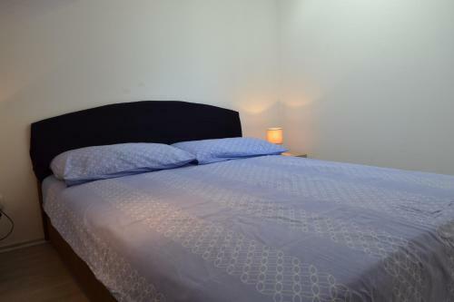 Apartment Branko