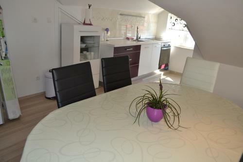 Apartment Branko