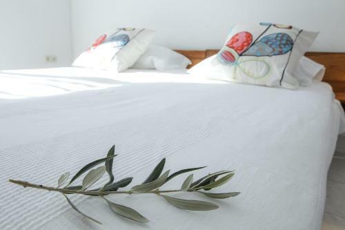 Apartments Amee