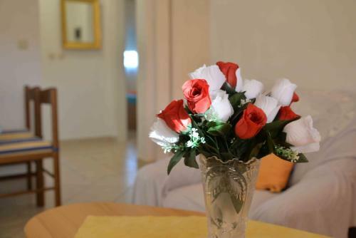 Hostal Apartments Katarina