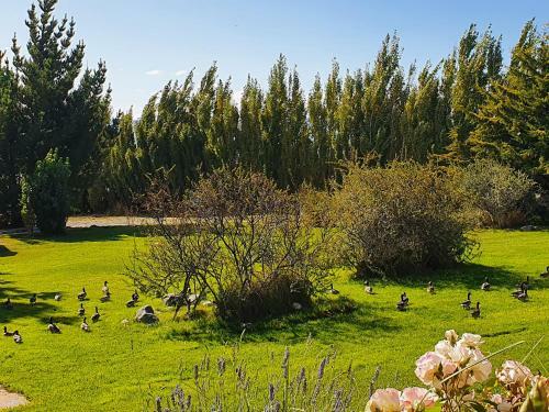 Lodge Caba�as Normana Inn