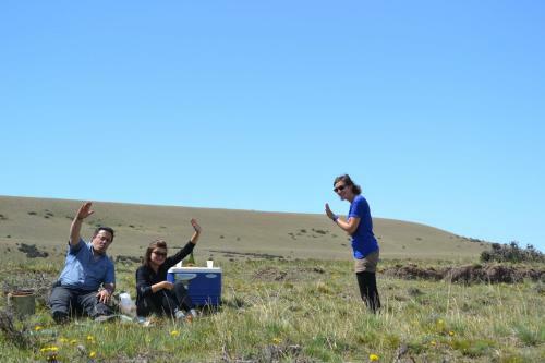 Camping Y Hostal El Ovejero