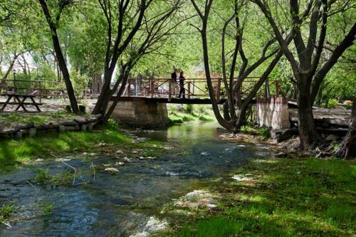 Camping Y Hostal El Ovejero