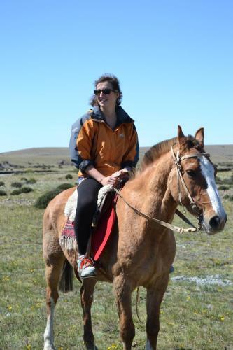 Camping Y Hostal El Ovejero